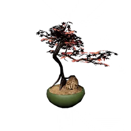Potted Maple II
