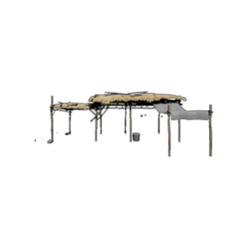Canopy Roof