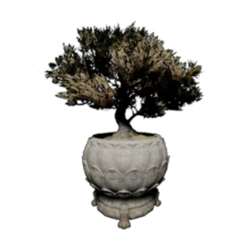 Potted Plant