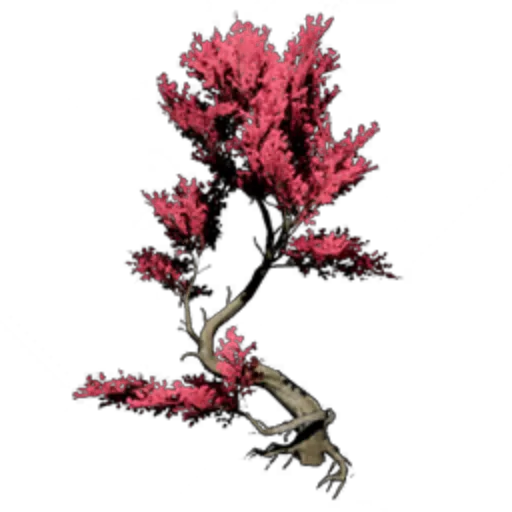 Crabapple Tree