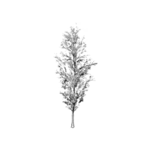 Snowy Short Tree I