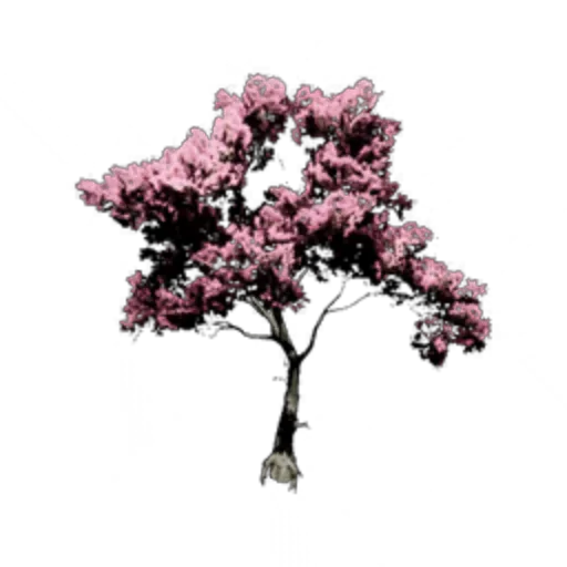 Spring Pink Tree II