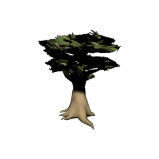 Potted Plant