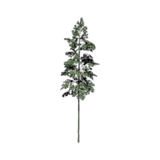 Single Bamboo I