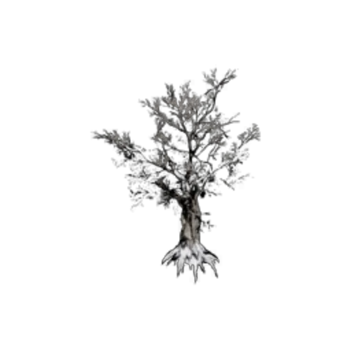 Snowy Dead Tree