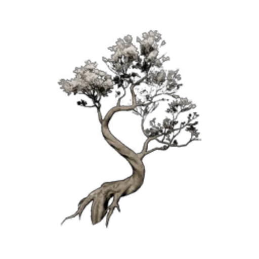 Large Pear Blossom Tree