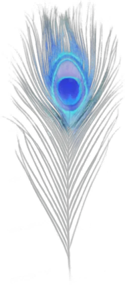 Peacock - Stand