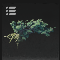 Green Plants