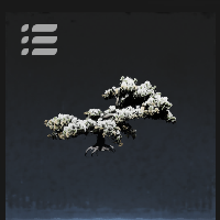 Snowy Ground Trees