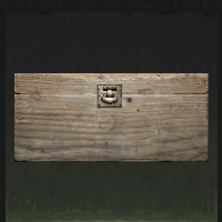 Chest