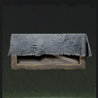 Chest