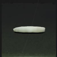 Water Tray