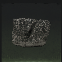 Stone