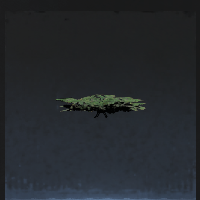 Small plant