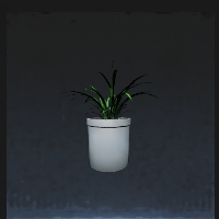 Orchid