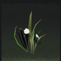 Water weeds