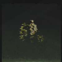 Surface grass