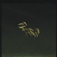 Surface grass