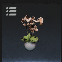Potted plant