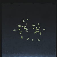 Sorrel leaf