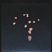 Peach blossom petal