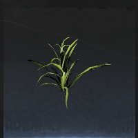 Small plant